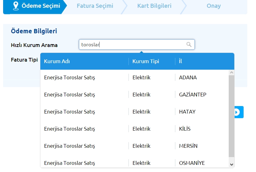 enerjisa toroslar online fatura ödeme