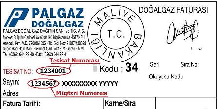 palgaz kocaeli